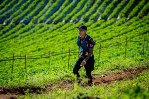 BIB: 
                            <button type="button" onclick="openModal(19161374)" class="btn btn-primary btn-sm float-right btn-popup" data-toggle="modal" data-target=".modal-high-quality">
                        <i class="fas fa-shopping-cart"></i> Add to Cart
                    </button>
                                            <button type="button" onclick="isThisMe(19161374, true)" class="btn btn-success btn-sm float-right btn-popup btn-isme hidden" data-toggle="tooltip" data-placement="bottom" title="นี่คือรูปของคุณใช่ไหม คลิกที่นี่เพื่อเอาเข้าอัลบั้ม">
                        <i class="fas fa-plus"></i> Add to album
                    </button>
                    <button type="button" onclick="isThisMe(19161374, false)" class="btn btn-warning btn-sm float-right btn-popup btn-isnotme hidden">
                        <i class="fas fa-ban"></i> Remove from album
                    </button>